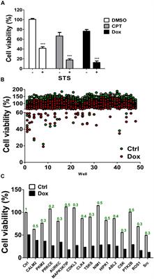 Kinome-Wide <mark class="highlighted">siRNA Screening</mark> Identifies Src-Enhanced Resistance of Chemotherapeutic Drugs in Triple-Negative Breast Cancer Cells